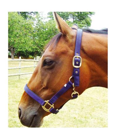Jumpers Horse Line Jhl Padded Headcollar Cob Size Navy