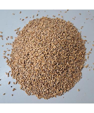 Premium Mills Emmer Grains 1000g - Fresh Whole Grain Emmer Kernels | R tze Mill Quality - Buy Online on SooperMarket.com