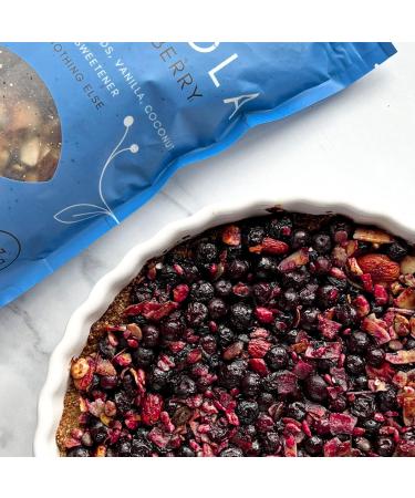 Keto Hana Wild Blueberry Vegan Granola - Dairy Free, Low Carb, No Refined Sugars, 4 Bags x 300gr - Buy Online on SooperMarket.com