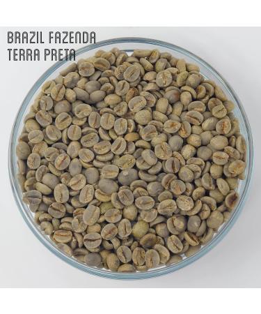 Green Coffee Beans 227g - Brazil Fazenda Terra Preta - Brown Bear - SCA 87.5 Score - Cup of Excellence - Unroasted Raw Coffee Beans for Home Roasters - Natural Dry Process - Buy Online on SooperMarket.com