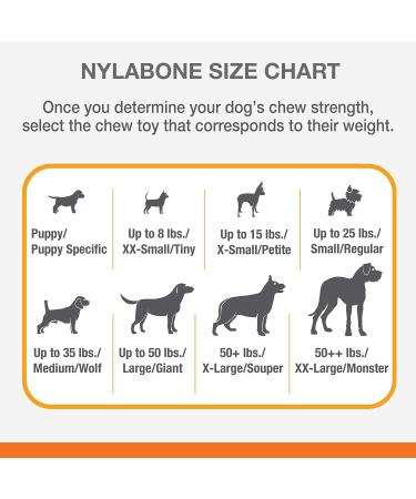 Nylabone Chew Toy for Extreme Chewers - Beef & Cheese Flavor Textured Bone | International Shipping Available - Buy Online on SooperMarket.com