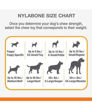 Nylabone Puppy Chew Toys for Teething Puppies | Small/Regular - Pink Bone Lamb & Apple (3 Count) - Buy Online on SooperMarket.com