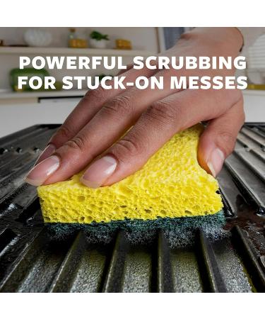 Scotch-Brite Heavy Duty Scrub Sponges - 24 Pack for Washing Dishes and Cleaning Kitchen - Buy Online on SooperMarket.com