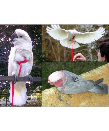 Aviator Bird Harness & Leash Made in America | Size M Red | International Shipping Available - Buy Online on SooperMarket.com