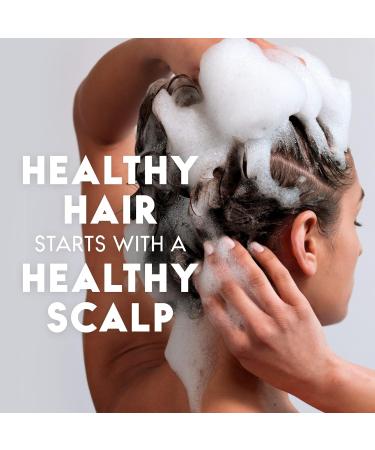 Head & Shoulders Coconut Daily-Use Anti-Dandruff Shampoo 370 mL - Buy Online on SooperMarket.com