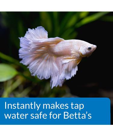 API Betta Fish Food 1.7 oz - Multi-Colored Pellets for Vibrant Bettas - Buy Online on SooperMarket.com