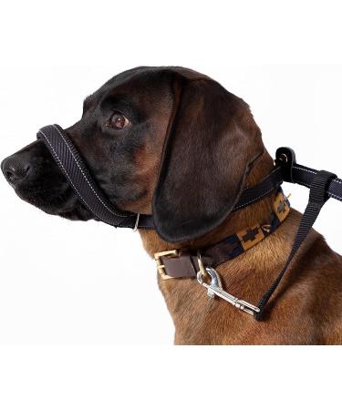 Total Pet Figure of 8 Dog Lead - Flat Anti Pull Stop Dogs Pulling Slip Leads Reflective with Padded Nose Support (210cm)