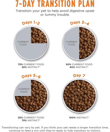 Original Grain-Free Kitten Recipe with Real Chicken - Premium Quality Food - Buy Online on SooperMarket.com