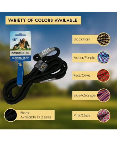 Cesar Millan Dog Leash & Collar 2in1 - Slip Lead Training Line for Small/Medium Dogs - 120cm Black/Yellow - Buy Online on SooperMarket.com