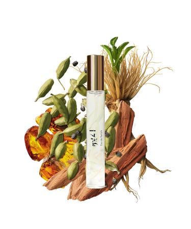 Caswell-Massey Legacy Eau de Parfum Discovery Set Includes VI 2571 & OAIRE Indulge in Enduring Modern Scents Long-Lasting Men s Fragrances Travel Size Set Perfume for Men 0.25 Fl Oz Each Legacy Trio 0.75 Fl Oz (Pack of 1) - Buy Online on SooperMarket.com