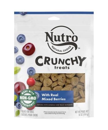 Nutro Crunchy Natural Biscuit Dog Treats Chicken 1 Pound (Pack of 1)