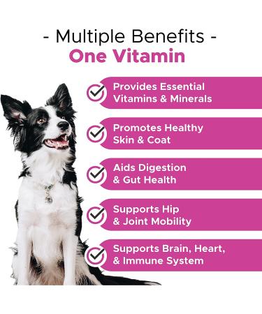 PetHonesty 10 in 1 Dog Multivitamin with Glucosamine - Essential Supplements for Dog Health & Heart - Omega Fish Oil, Probiotics, Chondroitin - Chicken Flavored Dog Vitamins - Buy Online on SooperMarket.com