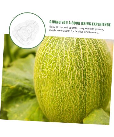 GANAZONO 9 Pcs Vegetable Mold Fruit Shaper Planting Vegetable DIY Cucumber Watermelon 9x8cmx3pcs Transparentx3pcs - Buy Online on SooperMarket.com