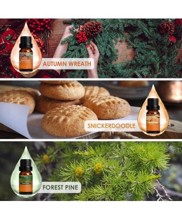 ARVIDSSON Fall Essential Oils Set Autumn Fragrance Oil for Diffusers Candle Making Pumpkin Spice Cinnamon Spiced Cider Autumn Wreath Pine Snickerdoodle Fall Scented Oils for Home - Buy Online on SooperMarket.com