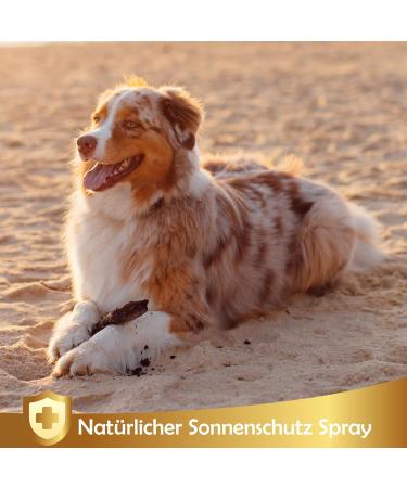 Natural Sun Protection Spray for Dogs & Cats | 250ml Sunscreen Fluid - Linea 101 - Buy Online on SooperMarket.com