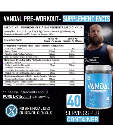 VNDL Pre Workout Powder for Men & Women- Enjoy a Clean Energy Boost with No Sugar Featuring L-Citrulline & L-Tyrosine for Improved Endurance- Nootropic Formula in Blue Razz Gummies Flavor - 40 Servings - Buy Online on SooperMarket.com