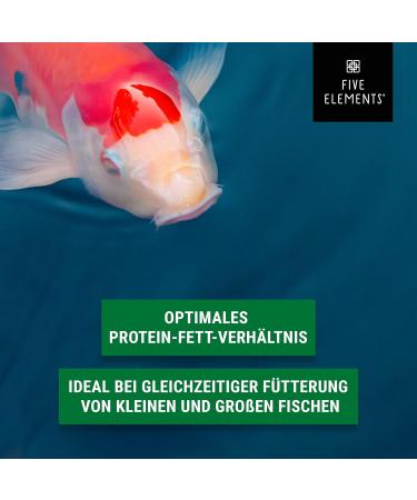 Buy Five Elements Koi Sink Plus 1.4 kg - Optimal Spring Feed for Healthy Koi | Premium Quality Ingredients - Buy Online on SooperMarket.com