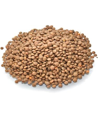 Old India Masur Whole Brown Lentils 1kg - Premium Quality Lentils for Healthy Cooking - Buy Online on SooperMarket.com