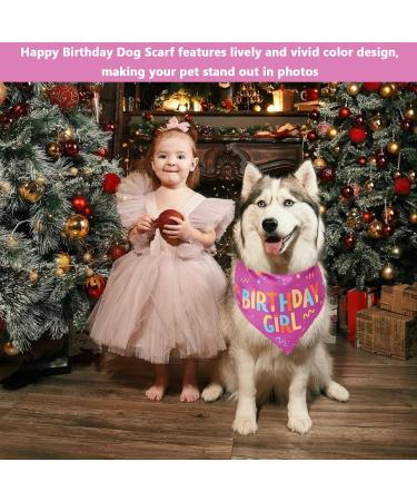 NPQ Pink Dog Birthday Bandana Adjustable Pet Birthday Bandana for Samll Dog Cat Pig Ect Your Pet's Special Day for Small Pets Birthday Party Supplies - Buy Online on SooperMarket.com