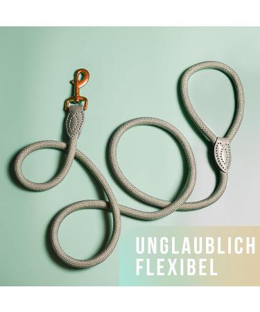 Premium 1.7m Dog Leash for Large Dogs - Durable Braided Training Rope | Sage Green - Buy Online on SooperMarket.com