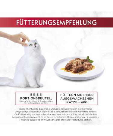 Buy Purina Gourmet Mon Petit Duetto Intense Cat Food - 8-Pack with Fish & Meat Variety | Premium Wet Cat Food for International Shipping - Buy Online on SooperMarket.com