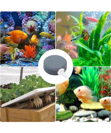 XIWUPO Bubblers & Sparkling Stones for Aquariums Ponds & Fish Tanks - Air Stones (2-Pack 4 cm) | Enhance Water Quality - Buy Online on SooperMarket.com