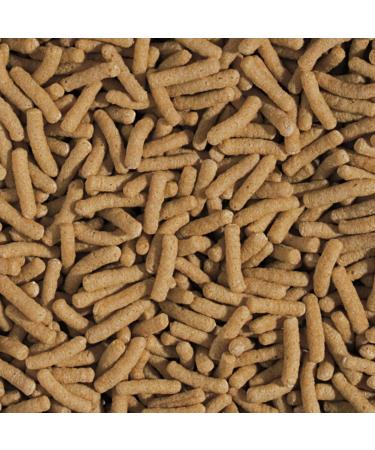 Tropical Koi & Goldfish Wheat Germ & Garlic Sticks - 400 g - Buy Online on SooperMarket.com