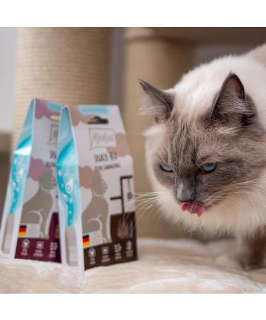 Mjamjam Premium Katzensnack - Snackbox mit nat rlichem Lamm 35 g - 100% ohne synthetische Konservierungsstoffe f r Katzen - Versand international - Buy Online on SooperMarket.com