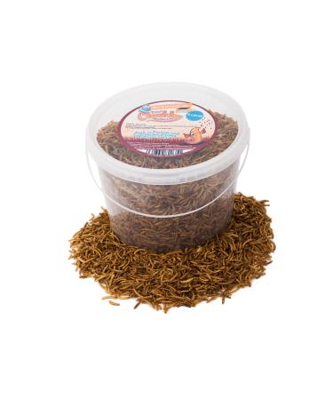 5 Litres Chubby Dried Mealworms for Wild Birds Only