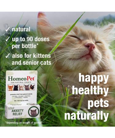 HomeoPet Feline Anxiety Relief - Stress & Anxiety Support for Cats - 15ml - Buy Online on SooperMarket.com