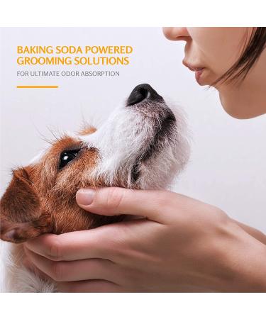Arm & Hammer Super Deodorizing Spray for Dogs | Baking Soda Odor Eliminator | Kiwi Blossom Scent | 20 Fl Oz - 2 Pack - Buy Online on SooperMarket.com