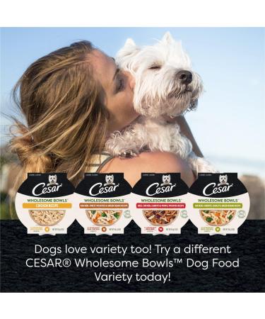 CESAR Wholesome Bowls Wet Dog Food Chicken Carrots Barley & Green Beans 85g Pack of 10 Chicken Carrots & Green Beans 85 g (Pack of 10) - Buy Online on SooperMarket.com