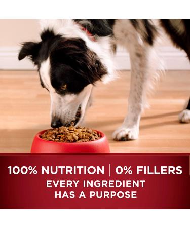 Purina ONE True Instinct High Protein Natural Dry Dog Food with Turkey & Venison - 7.4 lb Bag - Buy Online on SooperMarket.com
