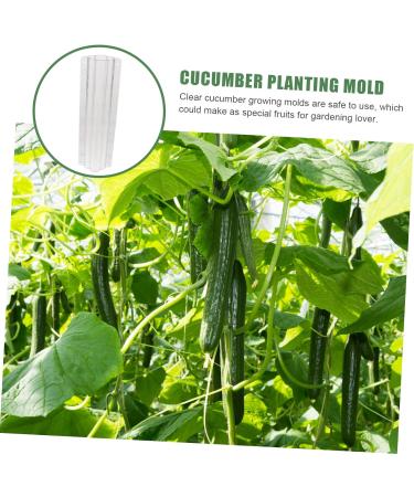 Balacoo 4 Pcs Vegetable Shaping Mold Cucumber Growing Molds Garden Fruit Mold Plastic Hearts Quincunx Suite - Buy Online on SooperMarket.com