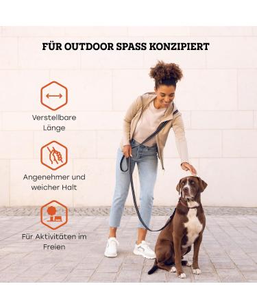 Buy Vitazoo 3m Dog Leash - Adjustable Nylon Graphite Leash with Carabiners for All Dog Sizes - Reflective Black Guide Leash - Buy Online on SooperMarket.com