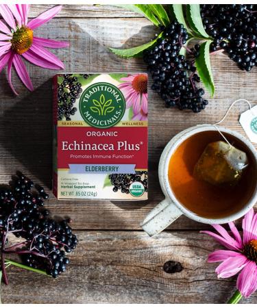Traditional Medicinals Organic Echinacea Elderberry Herbal Tea - 32 Tea Bags Total, Immune Function Support, Pack of 2 - Buy Online on SooperMarket.com