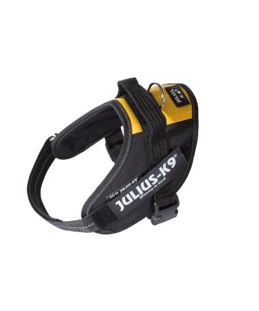 IDC Powerharness Size: XS/Mini-Mini Belgian Colors Belgian Colors XS/Mini-Mini