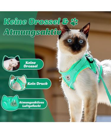 Supet Cat Dishes & Soft Vest for Kittens & Chihuahuas - Lime Green | International Shipping - Buy Online on SooperMarket.com