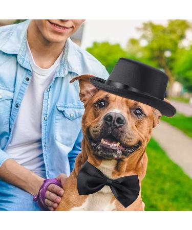 Yewong 2 Pieces Pet Formal Accessories Set - Pet Top Hat with Pet Formal Necktie/Bowtie Birthday Party Gradation Halloween Costumes Accessories for Dog Cat (Black-A) - Buy Online on SooperMarket.com