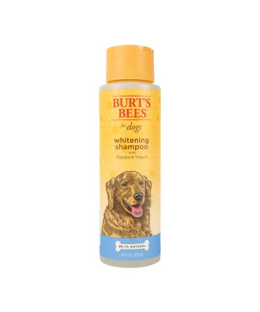 Burt's Bees Whitening Shampoo for Dogs with Papaya & Yogurt 16 fl oz (473 ml)