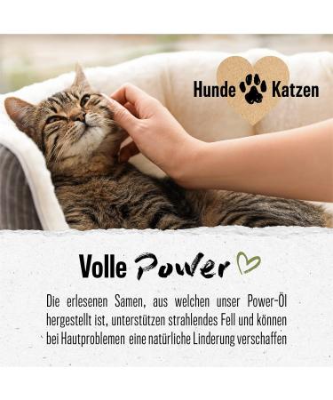 Alphazoo Premium Evening Primrose Oil for Dogs & Cats 250ml | Cold-Pressed Omega-6 & Omega-9 Feed Oil for Shiny Fur - Buy Online on SooperMarket.com