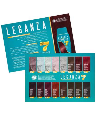 Leganza Aubergine Coloring Conditioner - Ammonia and Paraben Free with 7 Natural Oils - Buy Online on SooperMarket.com