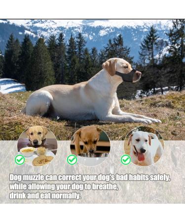 Muzzle for Short Snouted Dogs | Soft & Comfortable Dog Muzzle for Small Breeds - Chihuahua Shih Tzu & More - Buy Online on SooperMarket.com
