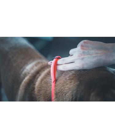 Vetocanis Red Dog Control Collar - 7 Years | Effective Training Solution - Buy Online on SooperMarket.com