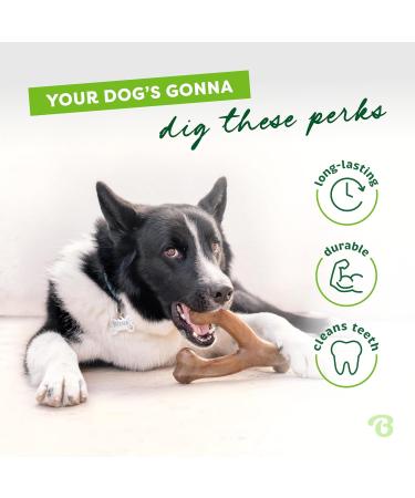Benebone Wishbone Real Peanuts Medium Durable Dog Chew Toy for Aggressive Chewers | International Shipping Available - Buy Online on SooperMarket.com