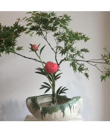 DAJAVE 10 Pack Flower Frogs - Round Japanese Flower Arranger Tool for Plant Decoration and Floral Arrangement - Buy Online on SooperMarket.com