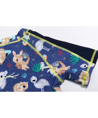 BONVERANO Baby Boys Swimsuit UPF 50+ Sun Protection | Koala Design | 3-6 Months - Buy Online on SooperMarket.com