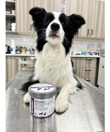 VETRADENT Powder Water Additive for Dogs & Cats with Biotrate Technology Fight Plaque & Tartar Freshen Breath Maintain & Promote Good Dental and Oral Hygiene 300g Made in USA - Buy Online on SooperMarket.com