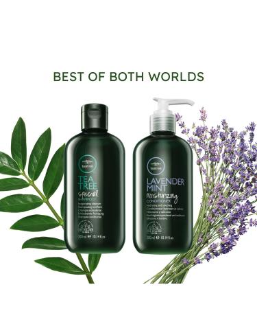 Tea Tree Lavender Mint Moisturizing Conditioner - Hydrating and Soothing for Coarse & Dry Hair - 10.14 Fl Oz (Pack of 2) - Buy Online on SooperMarket.com