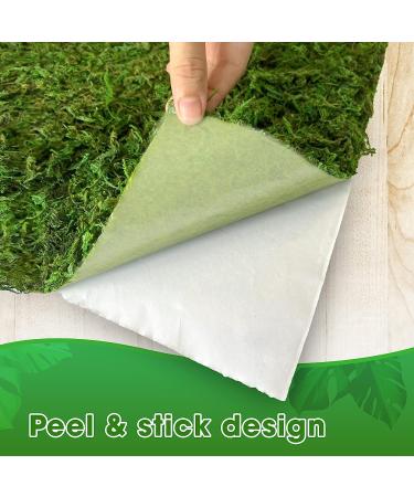 DUSPRO Moss Mat 2Pcs - Self Stick Moss for Crafts & Decor - 13x9.5 Inches - Ideal for Moss Wall Decor & Wedding Party - Green Sheet Moss - Buy Online on SooperMarket.com